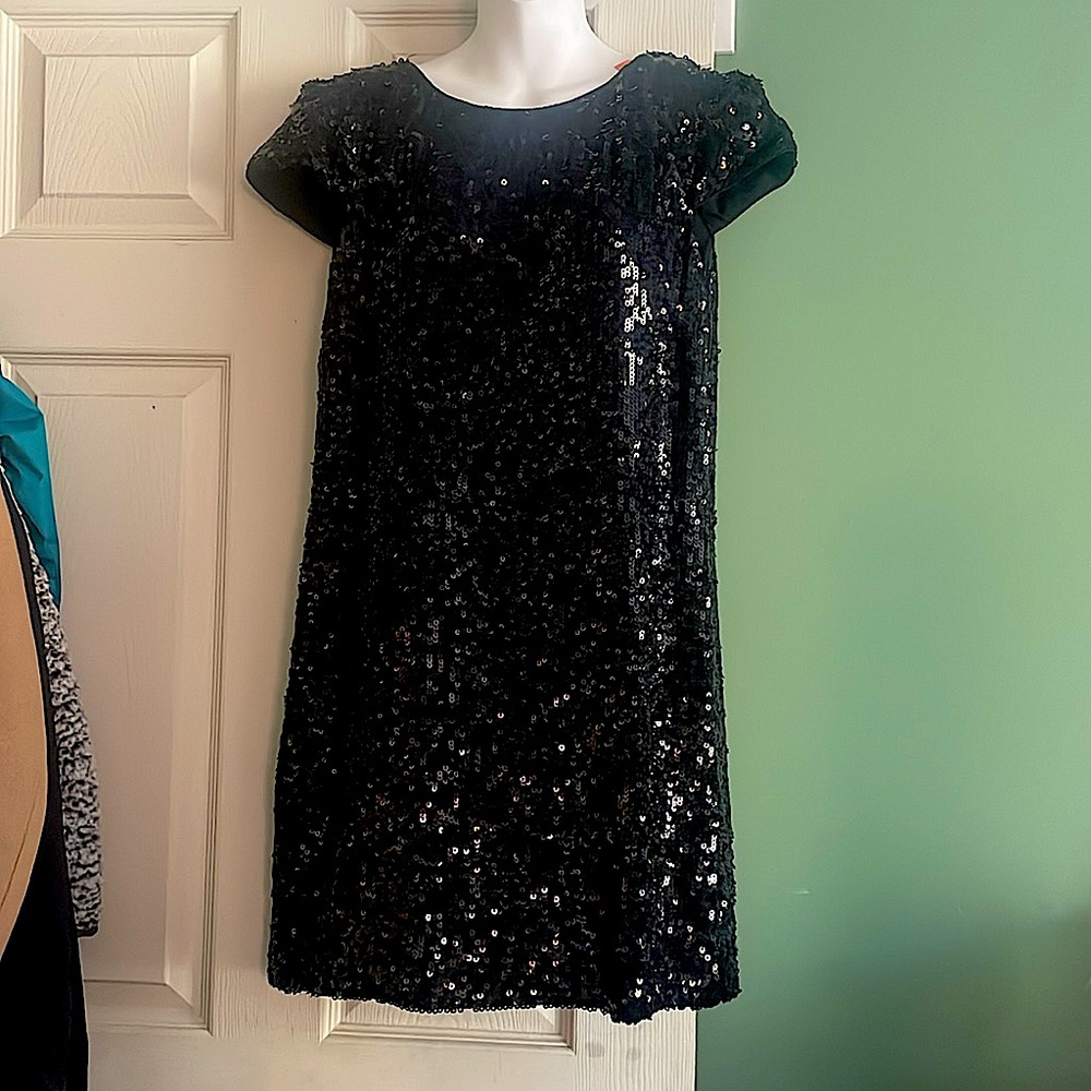 Banana Republic Sequined Little Black Dress
Women's Size 6